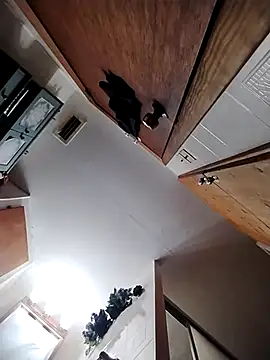 Snapshot of chad23162 chatting on February 13, 2026, 4:58 pm chad23162 online show from February 13, 2026, 4:58 pm