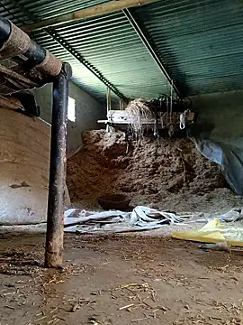 Sharmasamba online show from March 27, 2026, 6:41 am