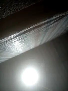 Snapshot of Momo-biki chatting on February 22, 2026, 12:47 pm Momo-biki online show from February 22, 2026, 12:47 pm