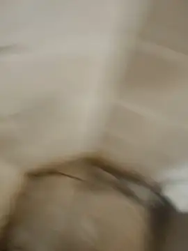 Gordinho dos pes online show from April 7, 2026, 3:18 am