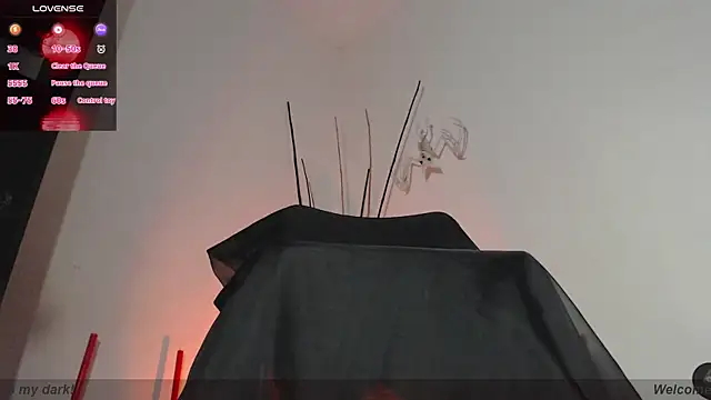 Darkyll33 online show from February 4, 2026, 4:57 pm