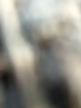 kalai 32 online show from February 3, 2026, 1:59 am