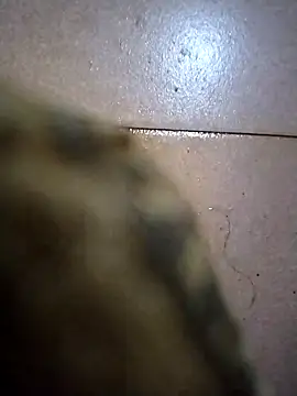 the sayem fuckboy online show from February 4, 2026, 2:01 pm