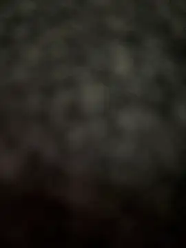 no-name15 online show from July 16, 2026, 3:29 pm
