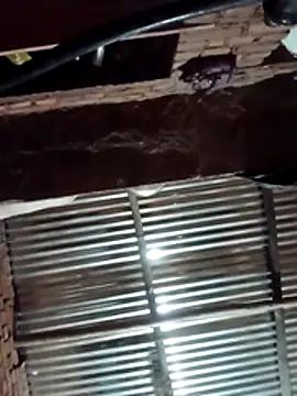 Snapshot of Hot_ree64 chatting on March 27, 2026, 5:23 pm Hot ree64 online show from March 27, 2026, 5:23 pm