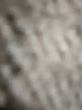 Snapshot of Flexxxo09 chatting on February 4, 2026, 2:01 pm Flexxxo09 online show from February 4, 2026, 2:01 pm