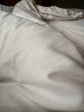 Snapshot of lucky9161 chatting on February 17, 2026, 3:25 am lucky9161 online show from February 17, 2026, 3:25 am