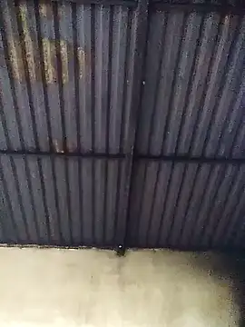 Linka998 online show from March 13, 2026, 3:13 am