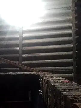 Linka998 online show from March 16, 2026, 12:17 am