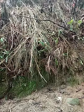 aiai220 online show from March 25, 2026, 1:22 am