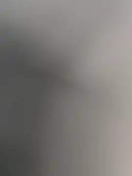 anitamadrid online show from February 15, 2026, 2:36 pm