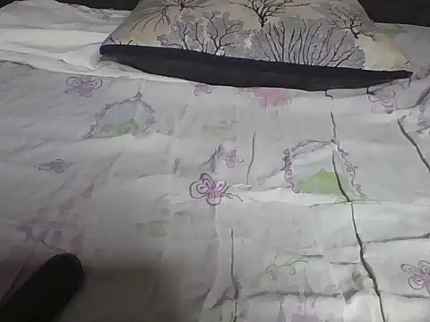 Hot-litchie online show from February 19, 2026, 11:06 am