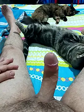 Snapshot of JFC161612 chatting on April 7, 2026, 6:14 am JFC161612 online show from April 7, 2026, 6:14 am