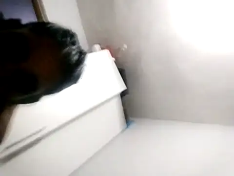 Baby P online show from March 18, 2026, 5:49 pm