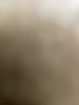 lopes22246 online show from February 15, 2026, 11:23 pm