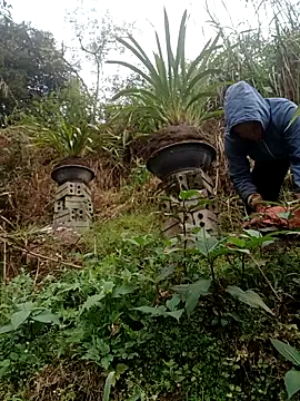 nelina 12345 online show from February 15, 2026, 9:08 am