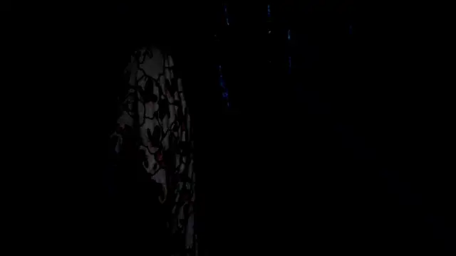SassyXindian online show from April 21, 2026, 5:17 pm