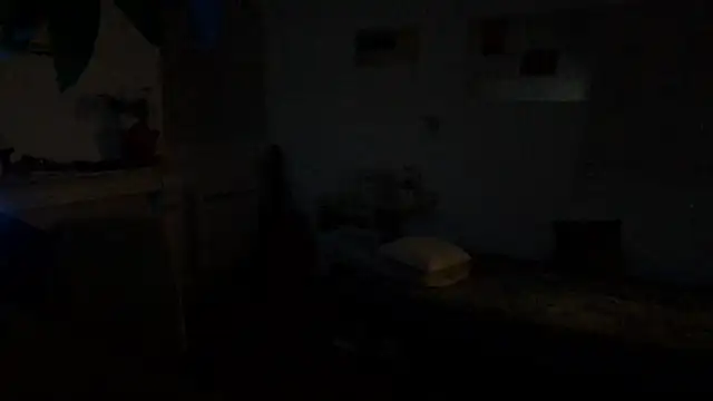 irohsako online show from June 6, 2026, 3:44 am