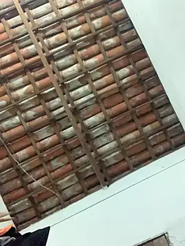 Navresseed online show from April 18, 2026, 2:59 am