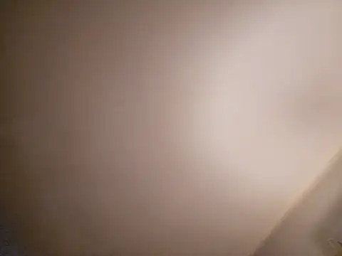 Schlongo420 online show from January 23, 2025, 12:41 pm