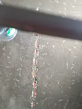 zoz88 online show from July 8, 2026, 7:02 am