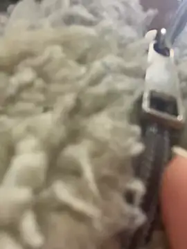 angell cooper8 online show from March 22, 2026, 12:19 pm