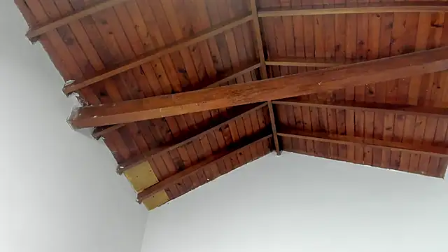 Snapshot of TonyPetrovjs chatting on March 15, 2026, 7:36 am TonyPetrovjs online show from March 15, 2026, 7:36 am