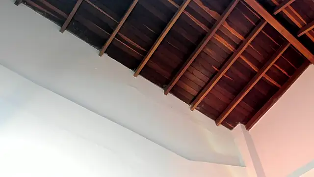 Snapshot of TonyPetrovjs chatting on April 1, 2026, 4:57 am TonyPetrovjs online show from April 1, 2026, 4:57 am