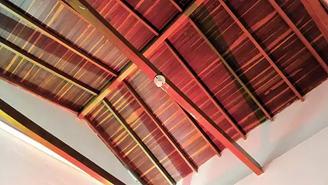 Snapshot of TonyPetrovjs chatting on April 3, 2026, 6:00 am TonyPetrovjs online show from April 3, 2026, 6:00 am