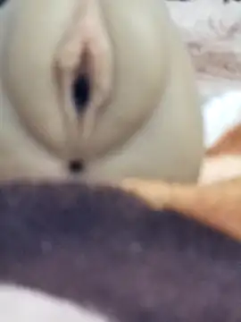 Snapshot of Mikecrazyhy chatting on February 25, 2026, 3:16 am Mikecrazyhy online show from February 25, 2026, 3:16 am