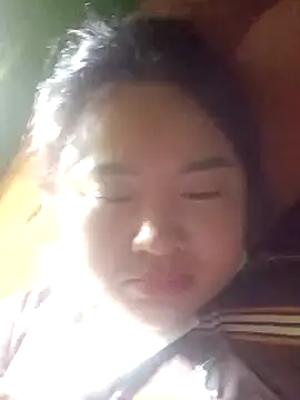 Meo-catwet online show from April 15, 2026, 5:25 am