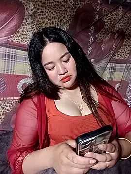 Meo-catwet online show from May 5, 2026, 1:41 pm
