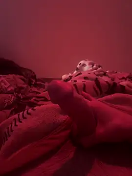 689Nika online show from April 7, 2026, 1:11 pm