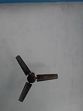 67sanju online show from February 28, 2026, 4:46 am