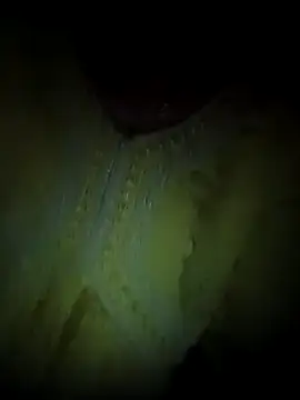 Rashmika Mandana online show from April 8, 2026, 7:03 pm