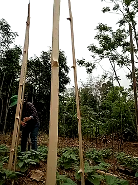 lyly sexx online show from April 1, 2026, 2:01 am