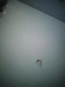 Snapshot of misteriosocam40 chatting on April 9, 2026, 5:40 pm misteriosocam40 online show from April 9, 2026, 5:40 pm