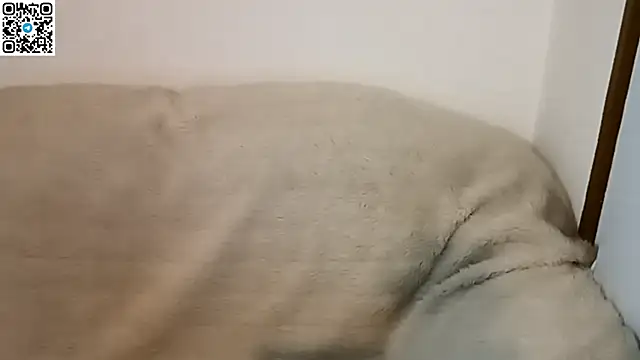  ZaneX online show from April 9, 2026, 7:30 pm