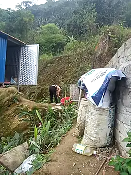 dualeo11 online show from March 12, 2026, 6:19 am