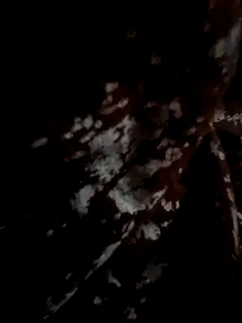 Couple hot999 online show from March 4, 2026, 2:56 pm