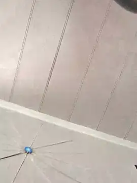 Snapshot of CirclingClass chatting on March 4, 2025, 8:16 pm CirclingClass online show from March 4, 2025, 8:16 pm