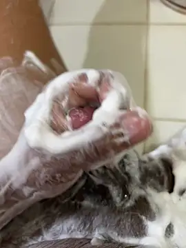 Chotiluli4 online show from April 12, 2026, 8:52 am