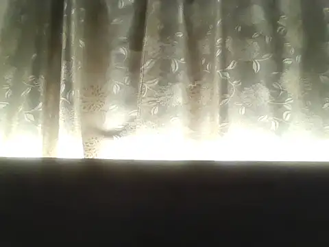 SusiHot01 online show from March 11, 2026, 2:06 am