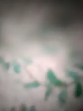 King night1 online show from March 25, 2026, 10:05 pm