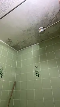 sylphiee  online show from April 8, 2026, 11:54 am