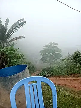 kalara kail online show from April 27, 2026, 2:09 am