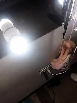 dantegomes online show from April 20, 2026, 11:06 pm