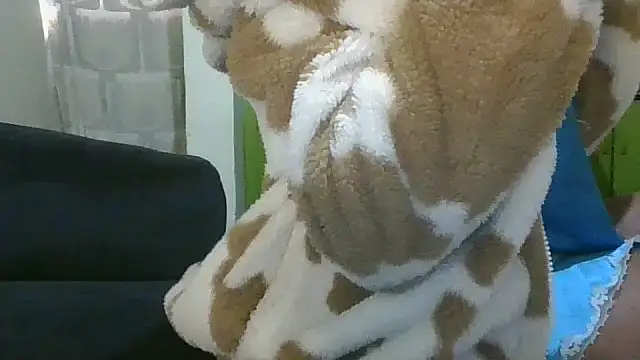 Elianastar online show from April 16, 2026, 4:46 am