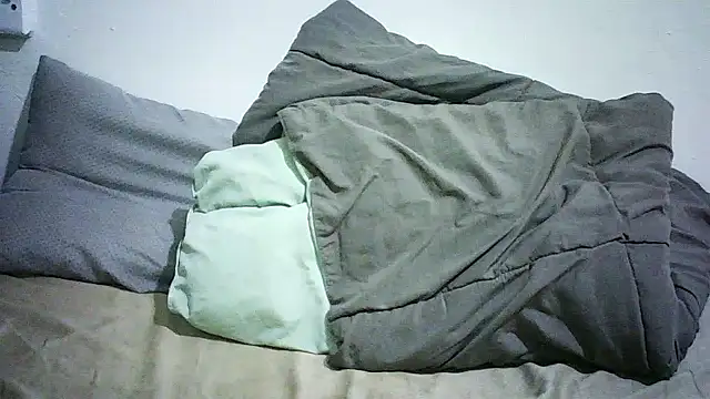 PrimBee online show from April 28, 2026, 2:22 pm