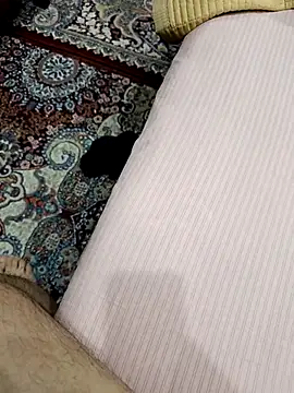 Snapshot of MEDVEDV chatting on March 14, 2026, 4:01 pm MEDVEDV online show from March 14, 2026, 4:01 pm